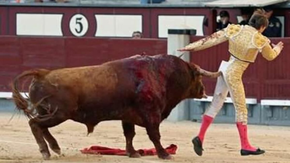 Homem morre após ser chifrado por touro em festival na Espanha