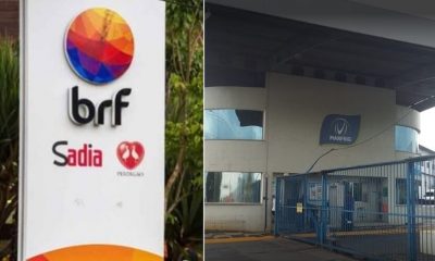 BRF + Marfrig: empresas com sedes na região negociam fusão