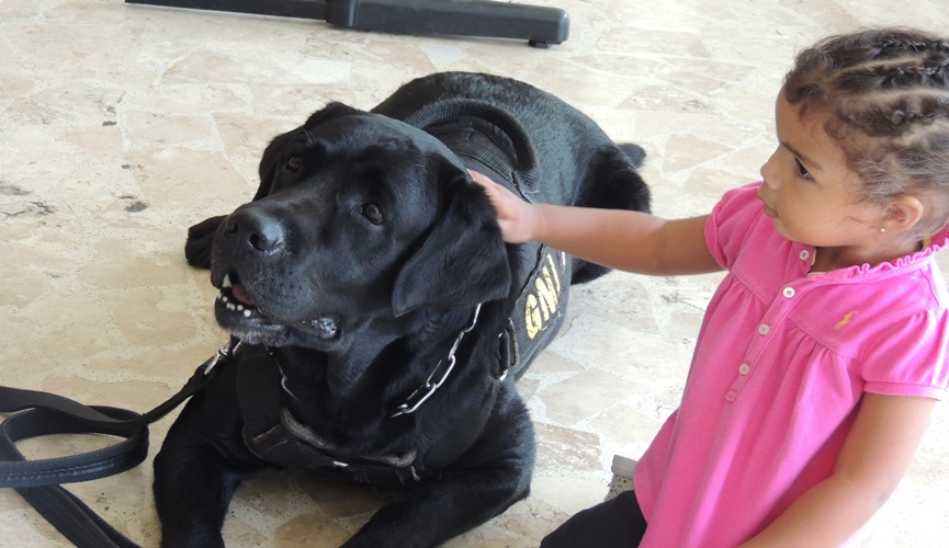 Cão Black volta ao Hospital Universitário para ‘Cãoterapia’ nesta terça-feira