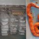 191 serpentes exóticas apreendidas pelo Ibama chegam a Jundiaí