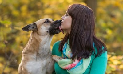 Donos de cães estão dando mais beijos nos pets do que nos parceiros, segundo pesquisa