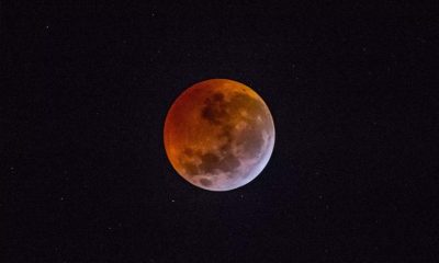 Eclipse lunar parcial será visto em todo o Brasil nesta terça-feira (16)