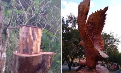 Escultura de águia em parque de Várzea Paulista é roubada