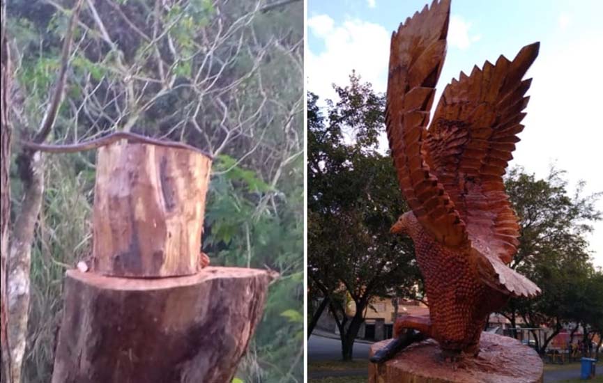 Escultura de águia em parque de Várzea Paulista é roubada