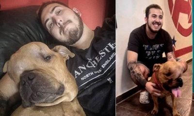 Jovem adota cachorro com câncer para dar a ele um lar e muito amor em seus últimos dias