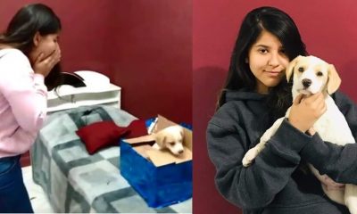 Jovem surda ganha cãozinho de presente e reação viraliza na internet