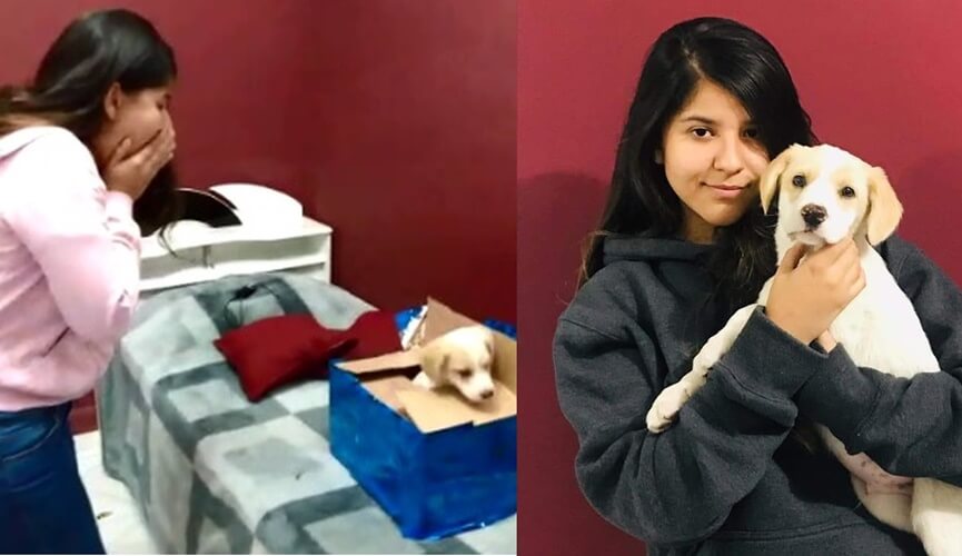 Jovem surda ganha cãozinho de presente e reação viraliza na internet