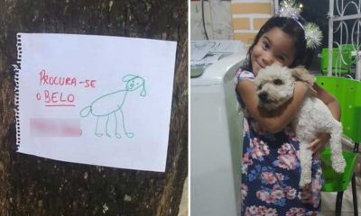Menina de 4 anos faz cartazes com desenho à mão de seu cachorro perdido e o encontra