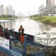 Governo paulista investe R$ 1,5 bi para despoluir o Rio Pinheiros