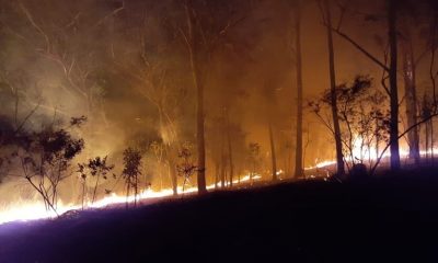 Incêndios em áreas de mata mobilizam bombeiros em Jundiaí