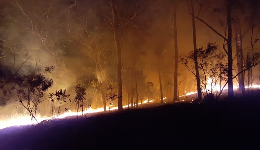 Incêndios em áreas de mata mobilizam bombeiros em Jundiaí