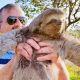 Morador de Louveira salva bicho-preguiça em rodovia