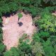Noruega suspende repasse de R$ 133 milhões para o Fundo Amazônia