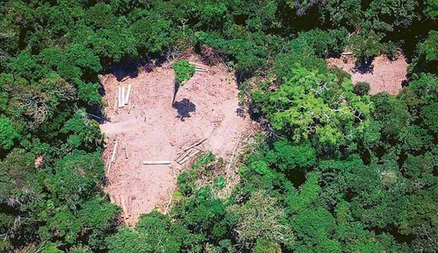 Noruega suspende repasse de R$ 133 milhões para o Fundo Amazônia