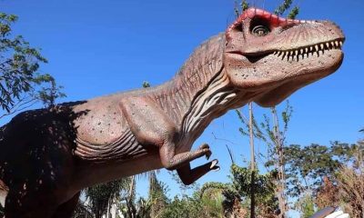 Olímpia ganha parque temático 'Vale dos Dinossauros'