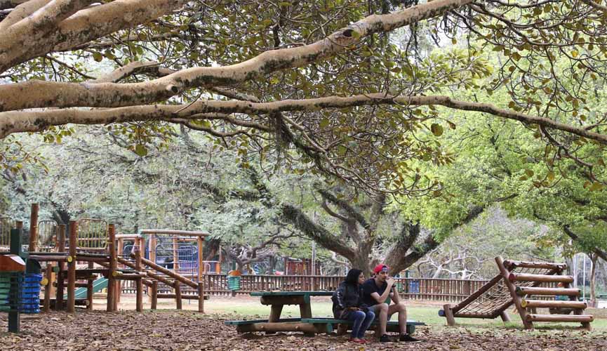 Prefeito de São Paulo sanciona lei que proíbe fumo em parques públicos