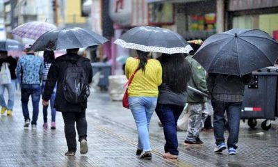 Foto de pessoas agasalhadas com guardas-chuvas abertos.