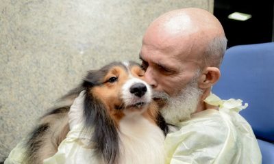 Após visita de cachorro, paciente com câncer melhora e surpreende médico (1)