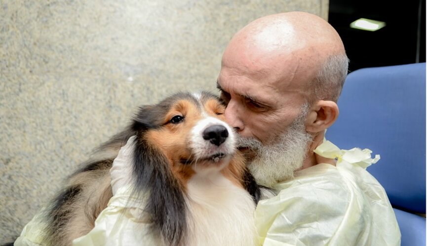 Após visita de cachorro, paciente com câncer melhora e surpreende médico (1)