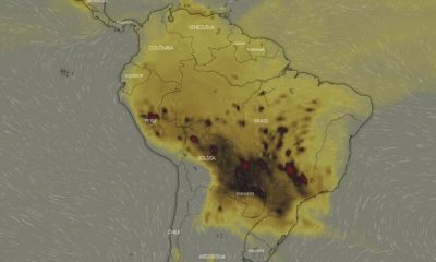 Fumaça de queimadas na Amazônia e em países vizinho chega ao Sudeste e Sul do Brasil