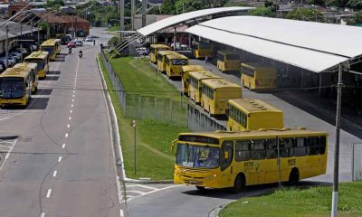 Linhas de ônibus vão atender mais bairros, com novas opções de horários
