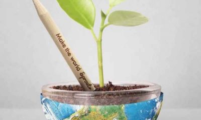 Empresa cria lápis que, depois de usado, vira uma planta