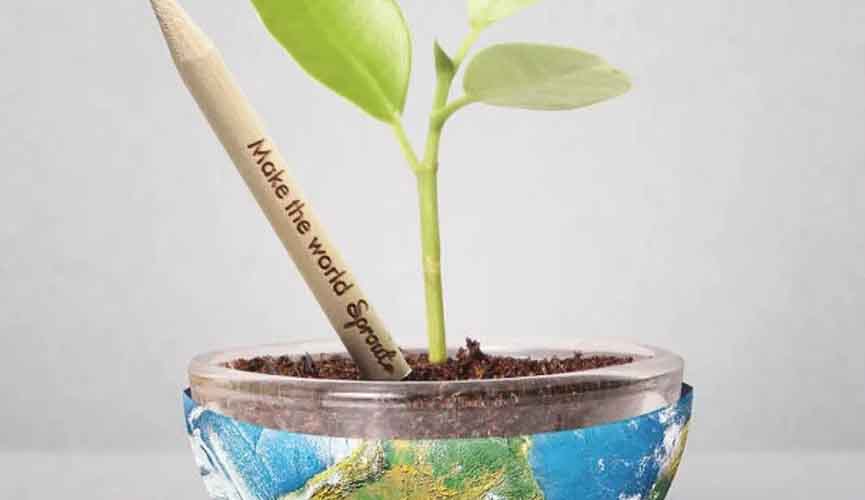 Empresa cria lápis que, depois de usado, vira uma planta