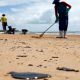 Estados fora do Nordeste podem ser atingidos por manchas de óleo