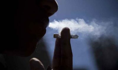 Medidas antitabaco diminuíram em 40% o número de fumantes no Brasil