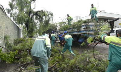 Trabalhadores da prefeitura retirando galhos de rua após chuva intensa derrubar árvores