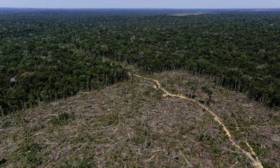Área desmatada na Amazônia