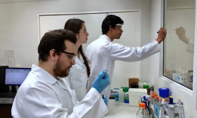 Três pesquisadores da Unicamp, sendo um á frente, analisando um material, enquanto uma mulher e um homem ao fundo analisam escritos na lousa