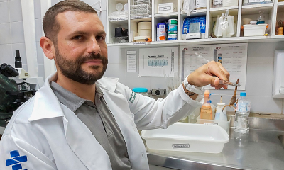 Foto do veterinário segurando escorpião em laboratório, por meio de uma pinça