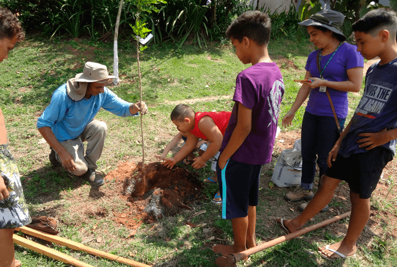 Crianças auxiliam na plantação de uma muda