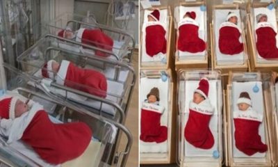 Recém-nascidos dentro de meia de Natal