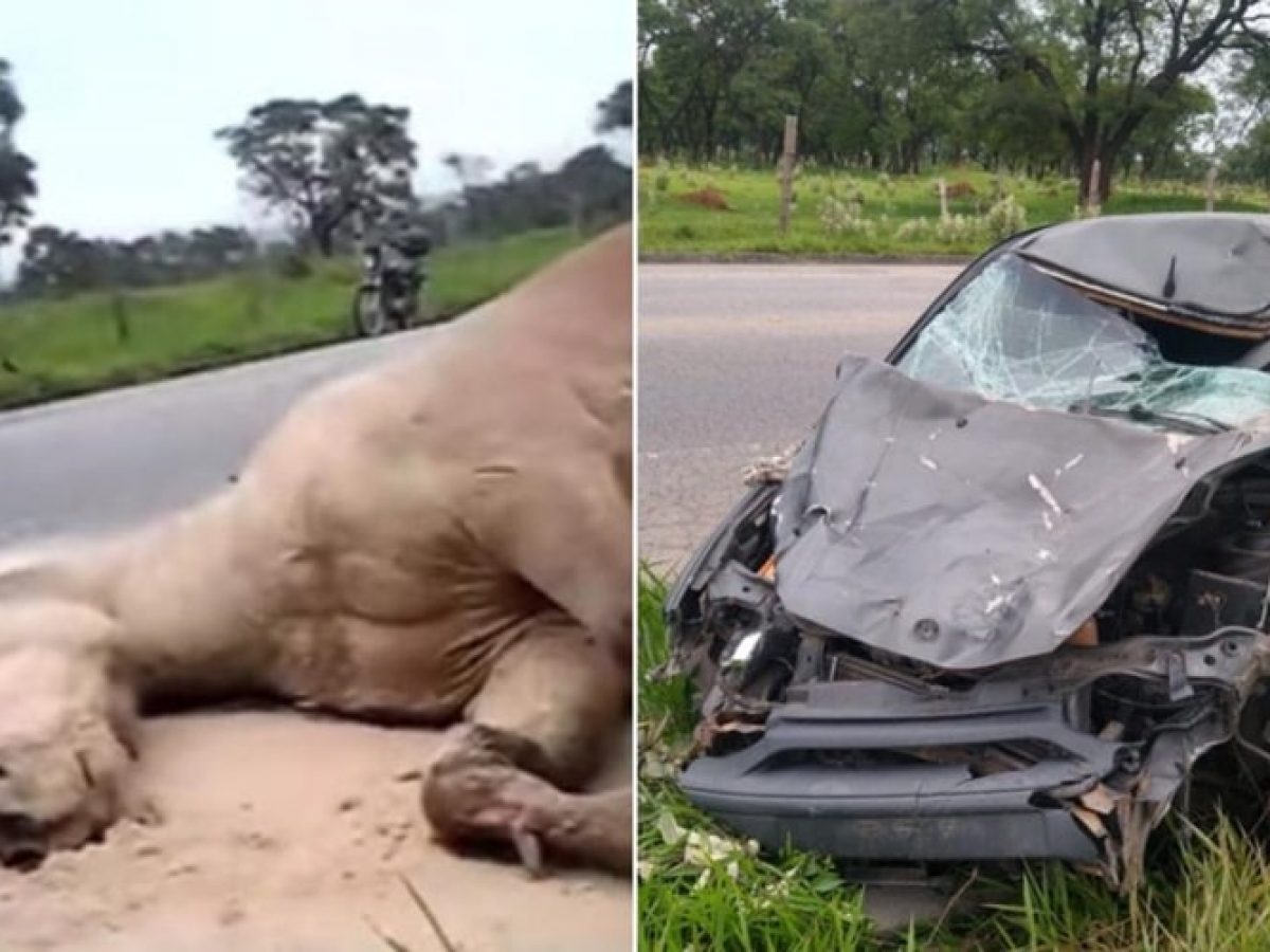 Acidente na Curva do Cavalo Morto envolve seis veículos e faz