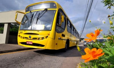 ônibus amarelo de Jundiaí em rua com flores laranjas na calçada