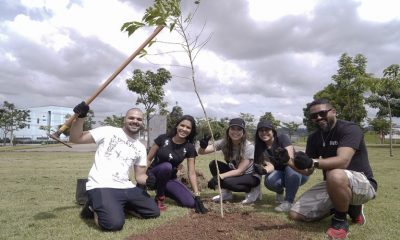 Foto de pessoas plantando árvores