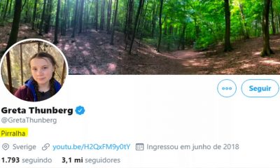 reprodução do twitter da ativista greta thunberg, mostrando a biografia logo abaixo da foto alterada para 'pirralha'