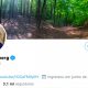 reprodução do twitter da ativista greta thunberg, mostrando a biografia logo abaixo da foto alterada para 'pirralha'