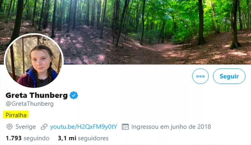 reprodução do twitter da ativista greta thunberg, mostrando a biografia logo abaixo da foto alterada para 'pirralha'