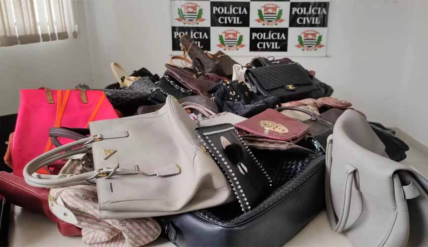 mais de 10 bolsas de marcas de grife emc ima de emsa com o logotipo da polícia civil ao fundo
