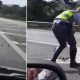 Trechos do vídeo; policial direciona filhotes para atravessarem pista mais rápido