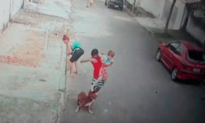 Cachorro atacando homem com criança no colo