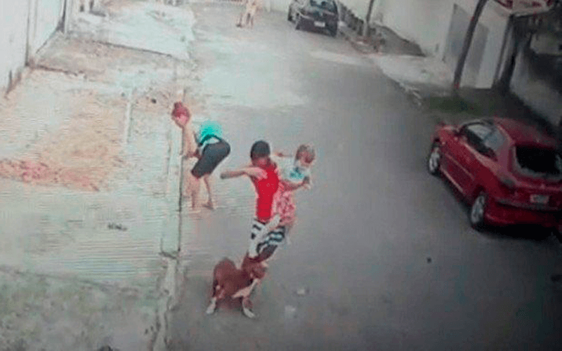 Cachorro atacando homem com criança no colo