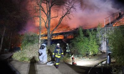 Foto de estrutura em chamas e bombeiros em ação