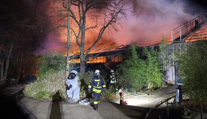 Foto de estrutura em chamas e bombeiros em ação