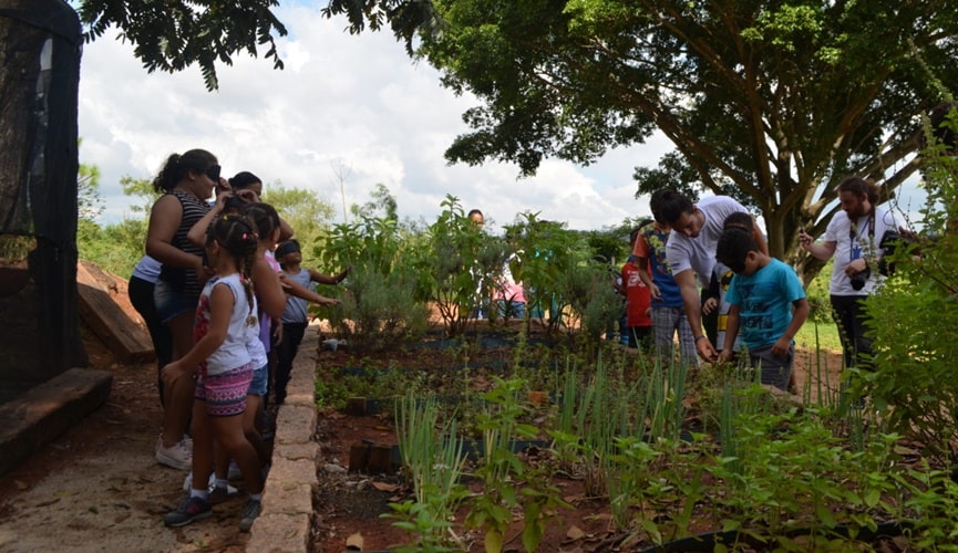 Crianças estimulando o lado sensorial em horta no Parque da Cidade
