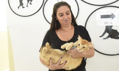 Foto de mulher segurando gato amarelo