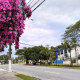 Imagem da avenida Jundiaí com ângulo apontado para o céu.